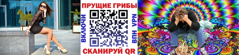 гидра ТОР  Николаевск-на-Амуре  Галлюциногенные грибы мухоморы 